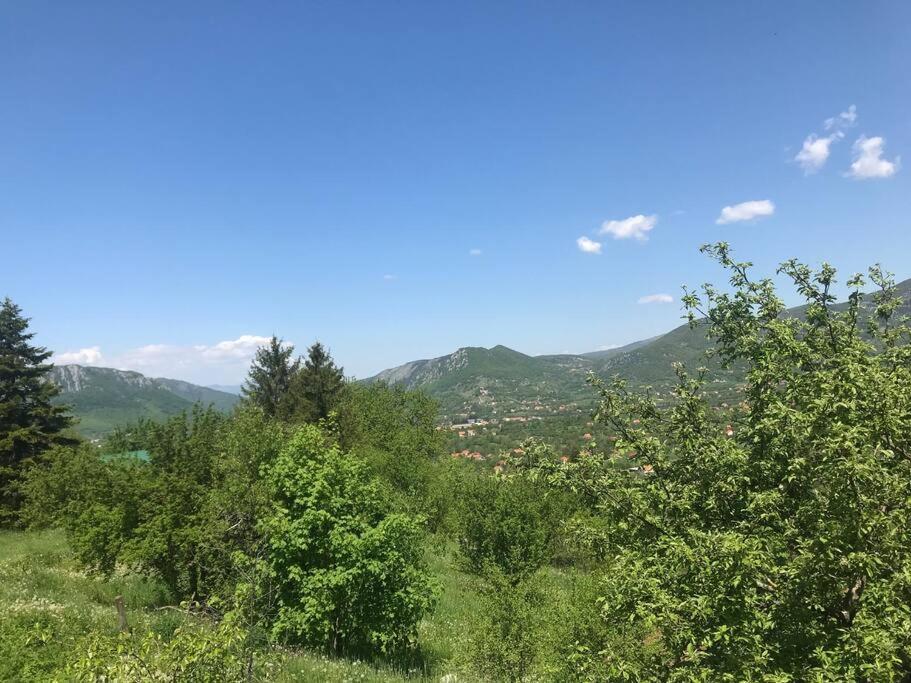 Grandma'S Hut Villa Nikšić Eksteriør billede